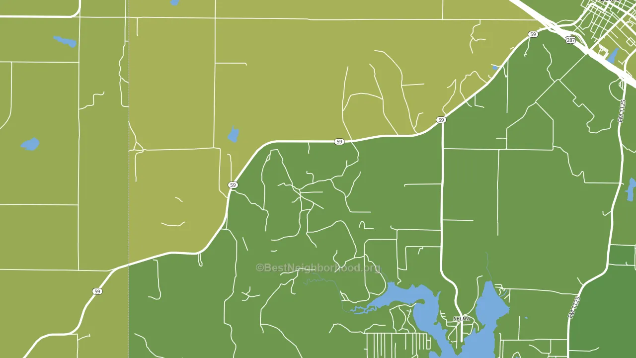 Fruitland, TX block-group voter-turnout map