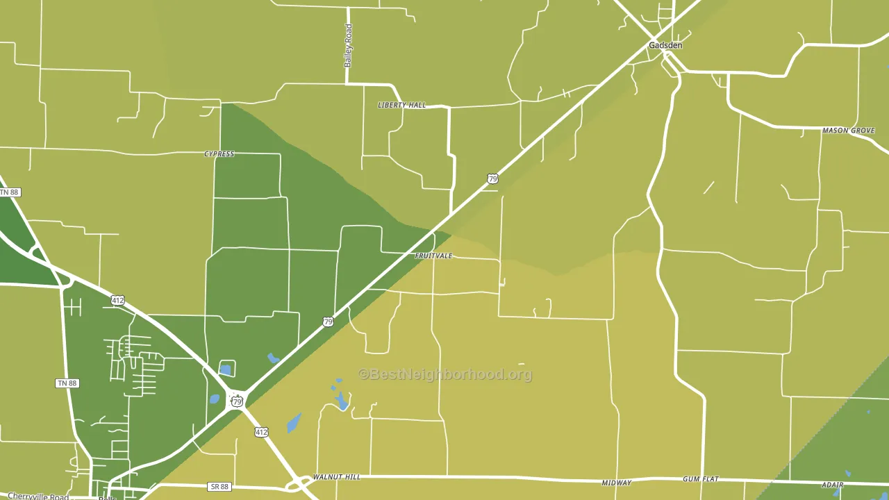 Fruitvale, TN block-group voter-turnout map