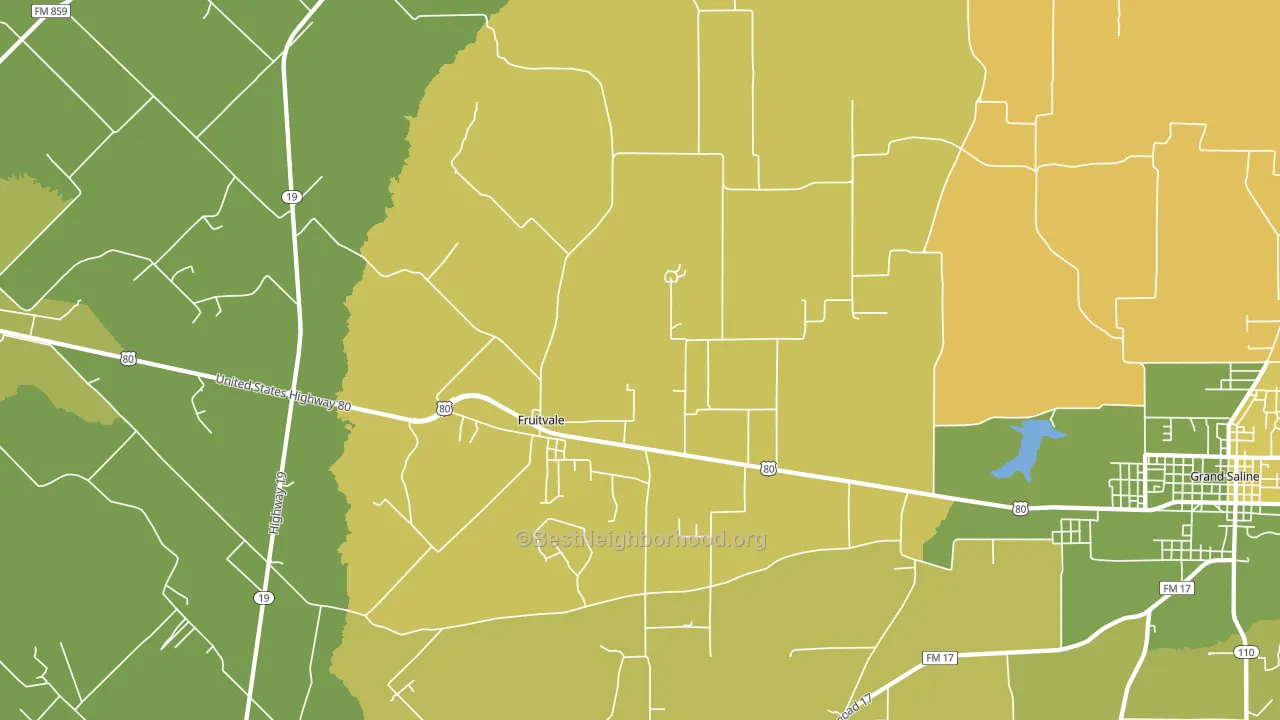 Fruitvale, TX block-group voter-turnout map