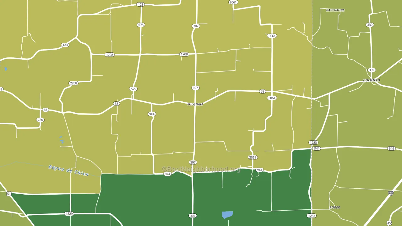 Fulgham, KY block-group voter-turnout map