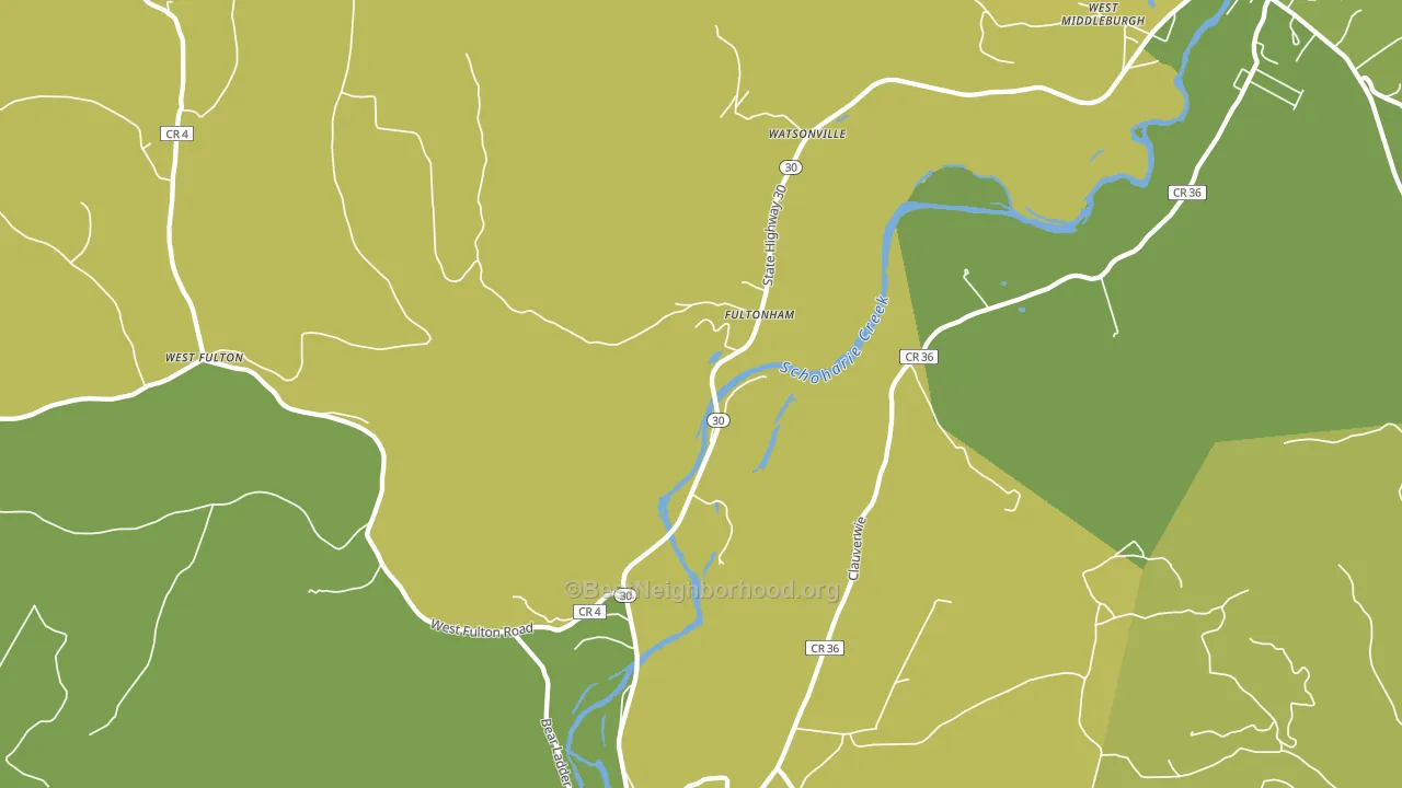 Fultonham, NY block-group voter-turnout map