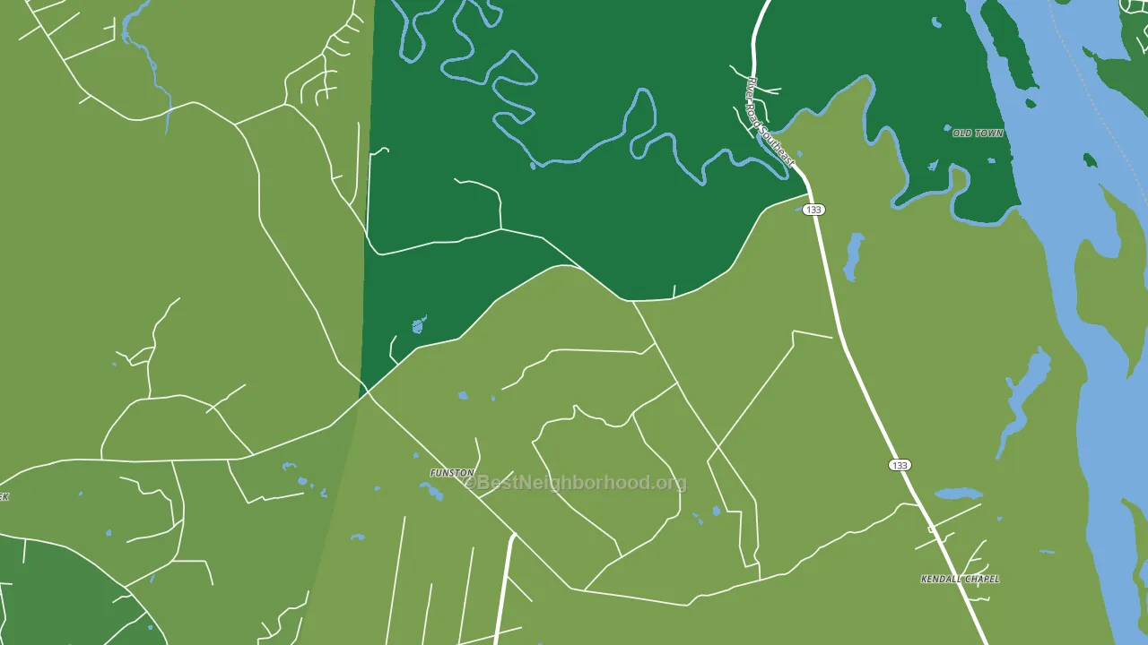 Funston, NC block-group voter-turnout map
