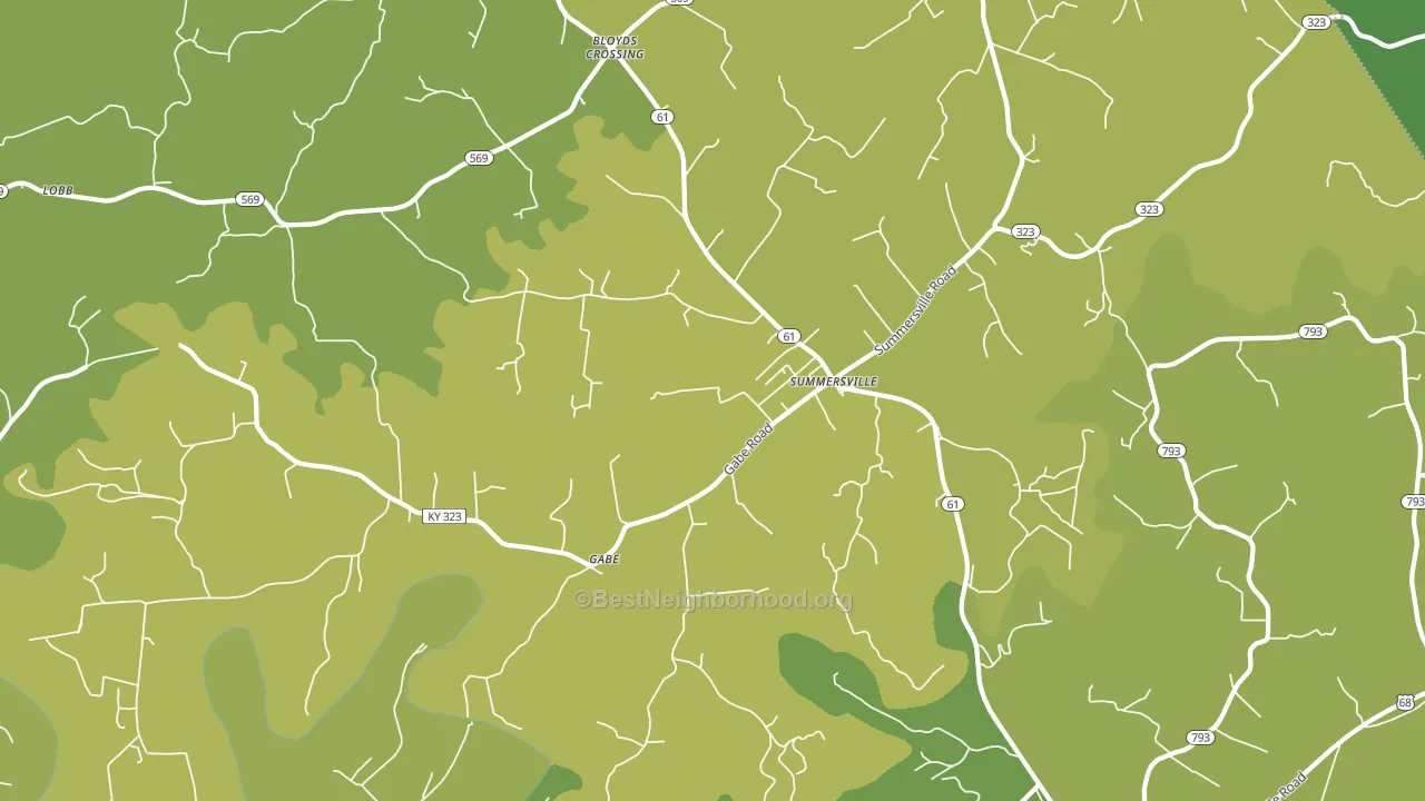 Gabe, KY block-group voter-turnout map