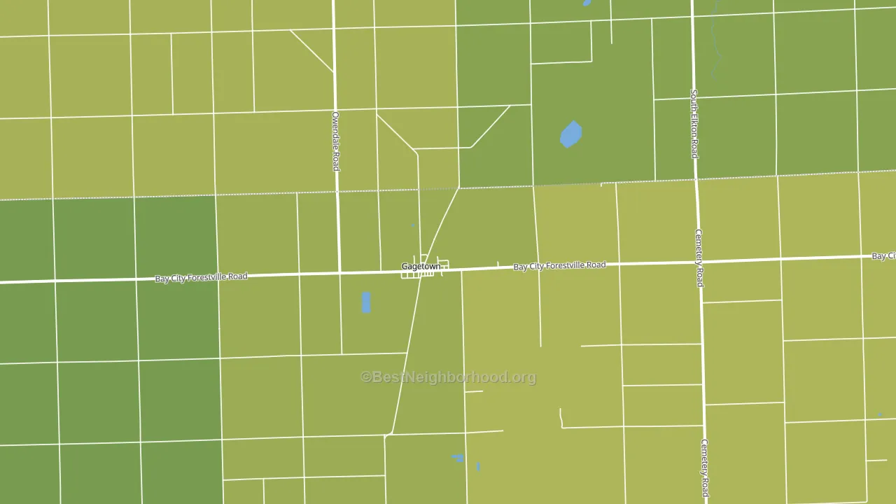 Gagetown, MI block-group voter-turnout map