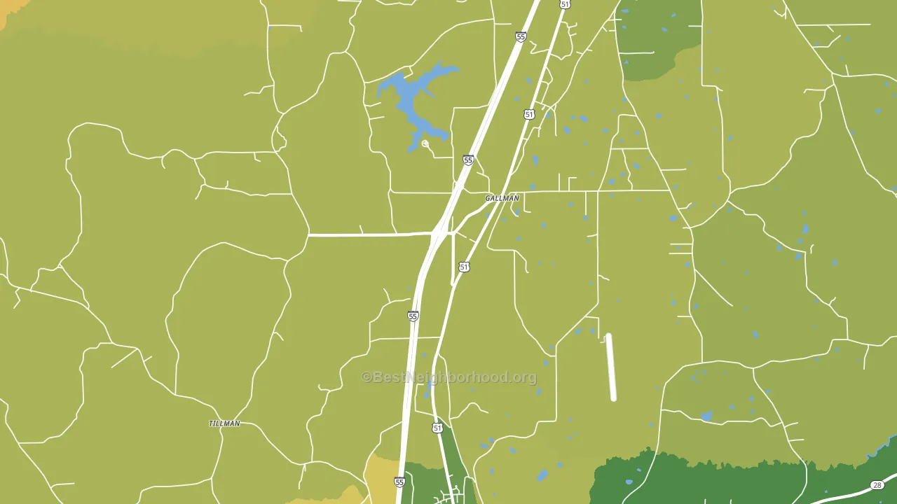 Gallman, MS block-group voter-turnout map