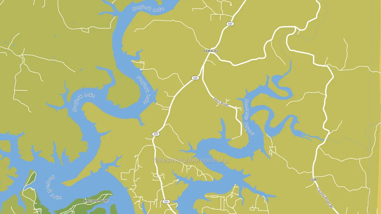 Gamaliel, AR block-group voter-turnout map