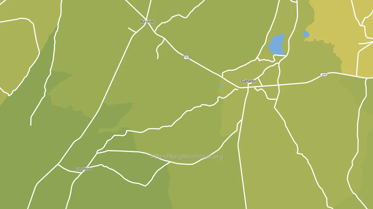 Ganado, AZ block-group voter-turnout map
