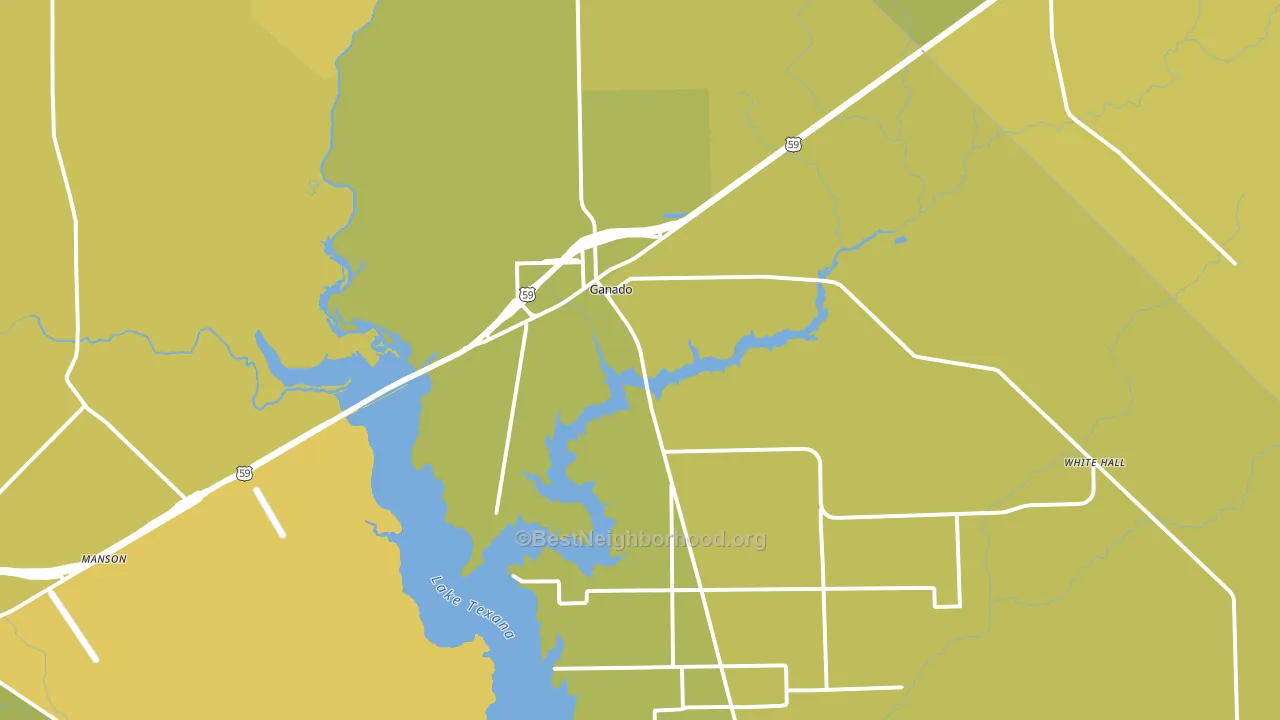 Ganado, TX block-group voter-turnout map