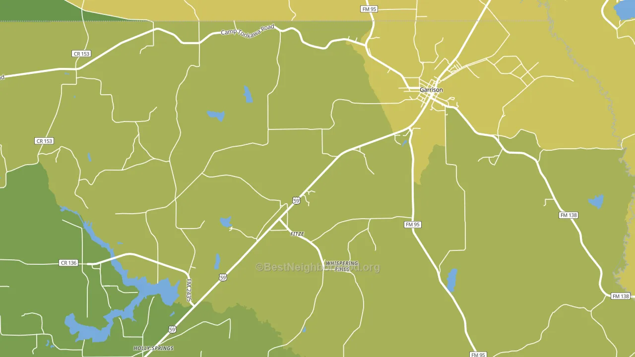 Garrison, TX block-group voter-turnout map