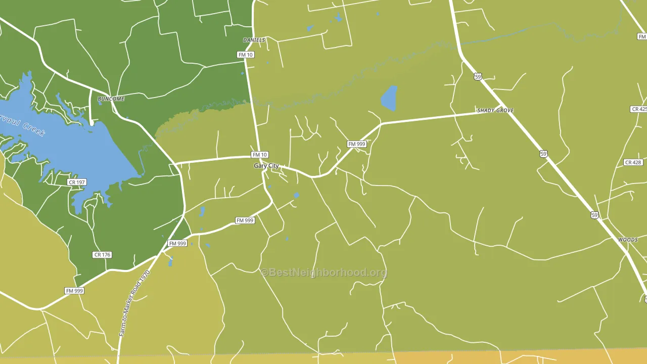 Gary City, TX block-group voter-turnout map