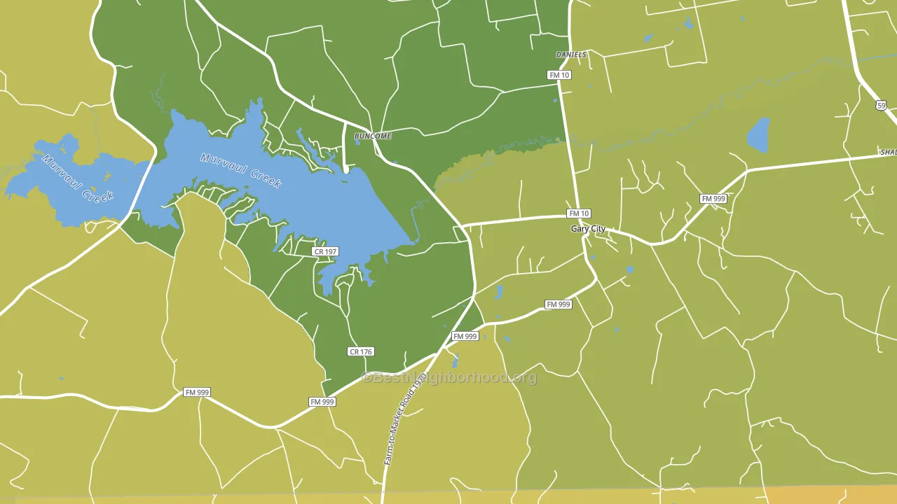 Gary, TX block-group voter-turnout map
