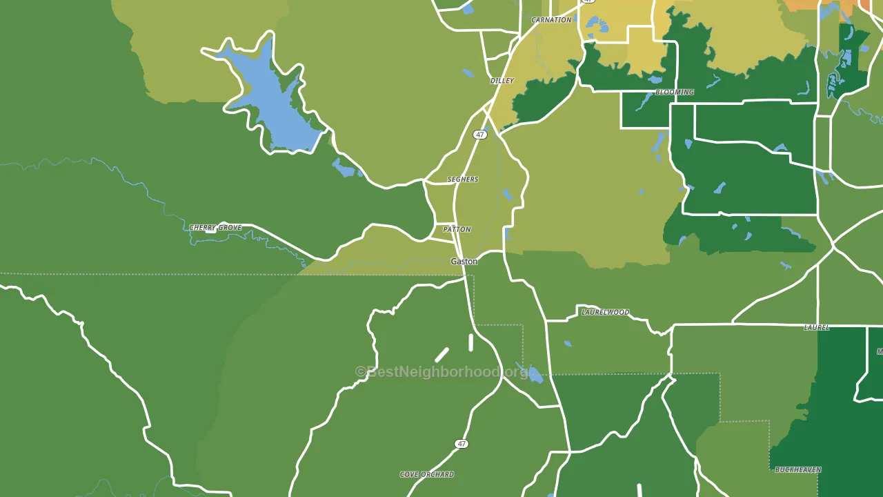 Gaston, OR block-group voter-turnout map