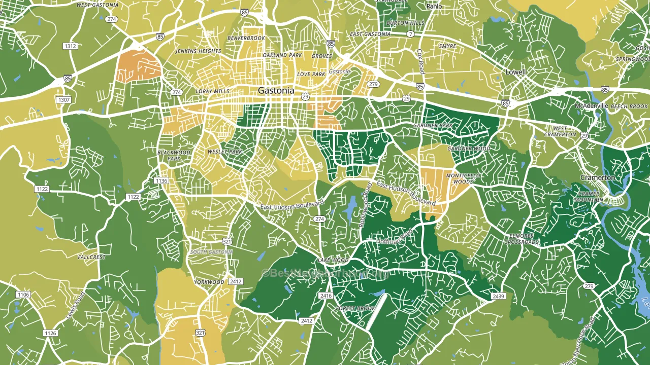 Gastonia, NC block-group voter-turnout map