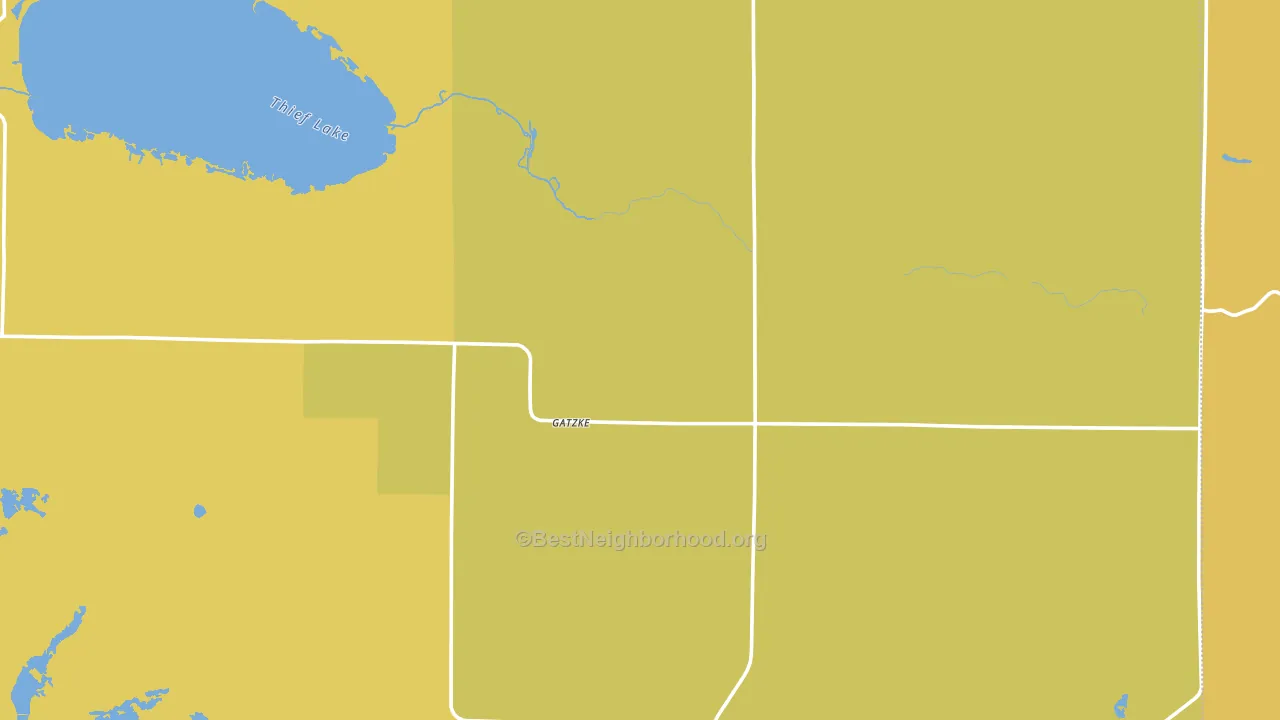 Gatzke, MN block-group voter-turnout map