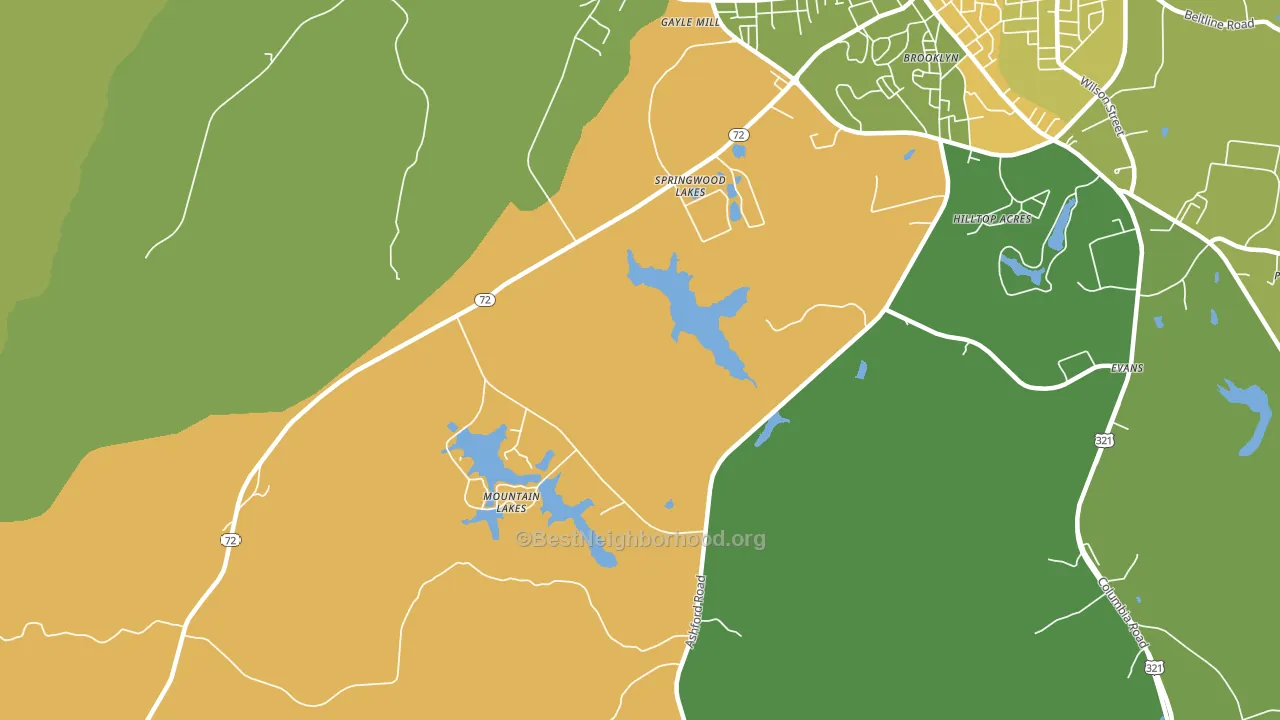 Gayle Mill, SC block-group voter-turnout map