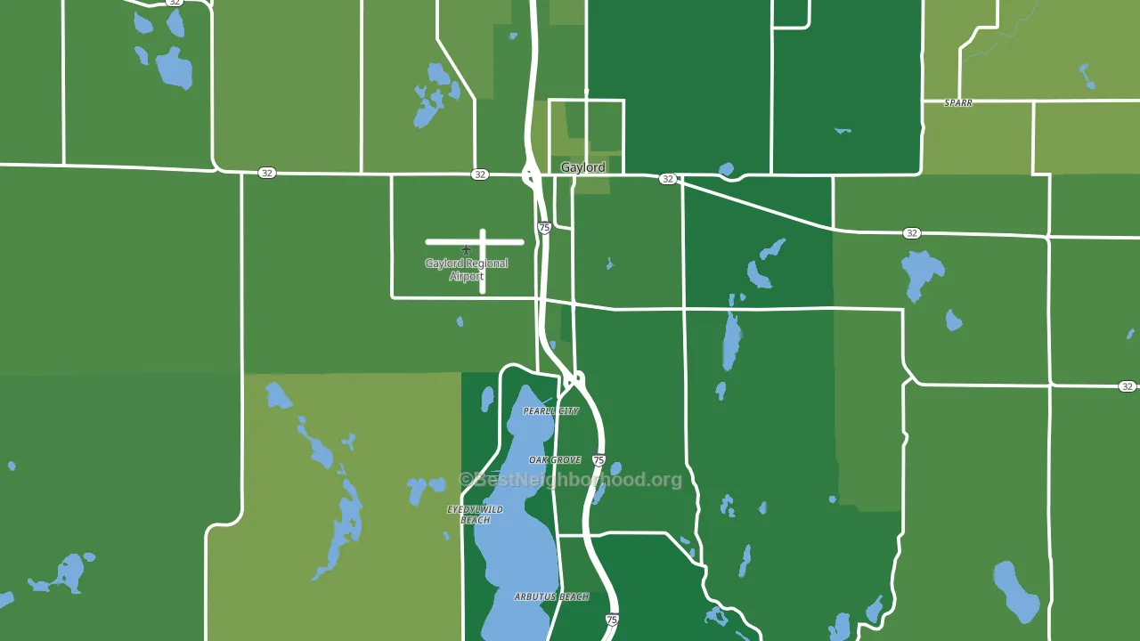 Gaylord, MI block-group voter-turnout map