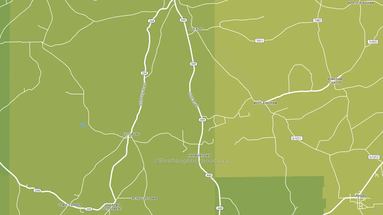 Genesee, PA block-group voter-turnout map
