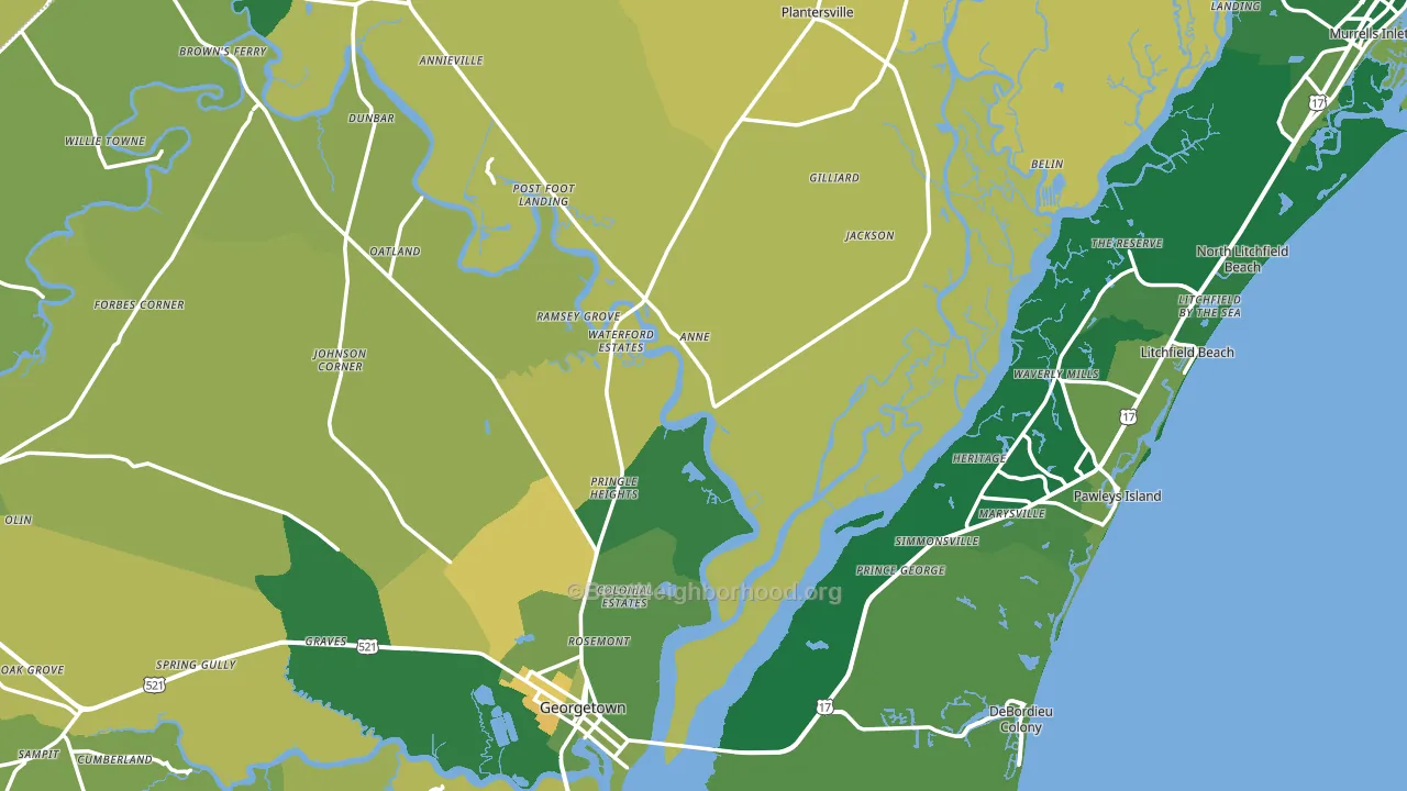 Georgetown County, SC block-group voter-turnout map