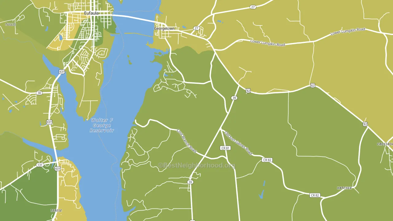 Georgetown, GA block-group voter-turnout map