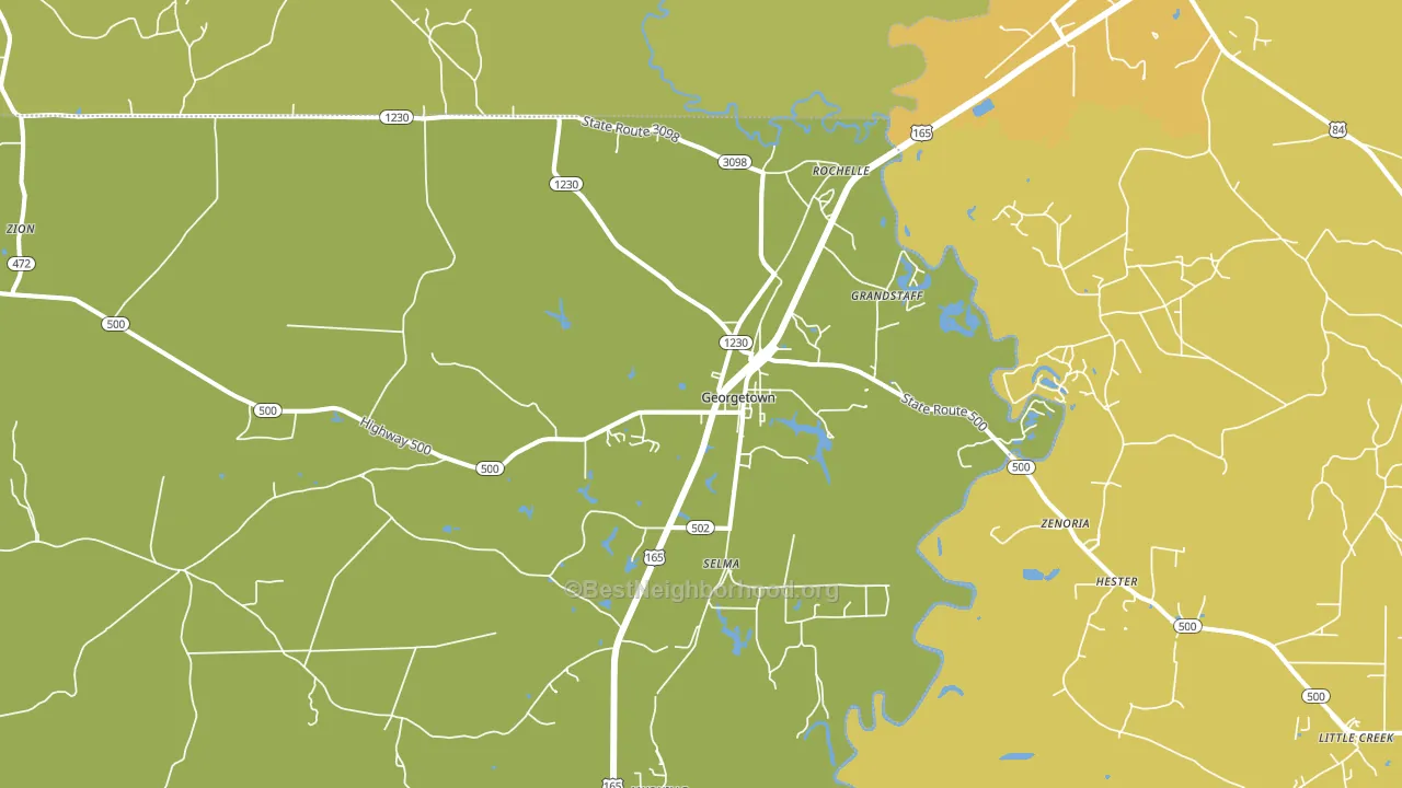 Georgetown, LA block-group voter-turnout map