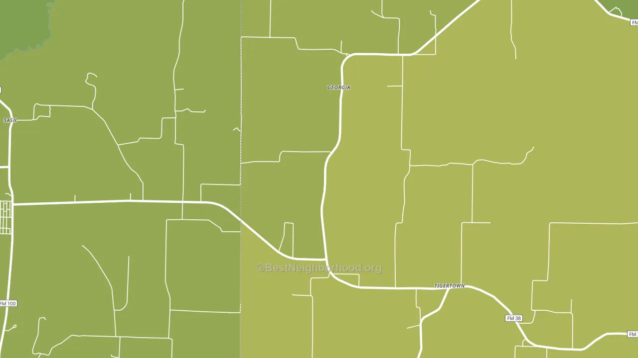 Georgia, TX block-group voter-turnout map