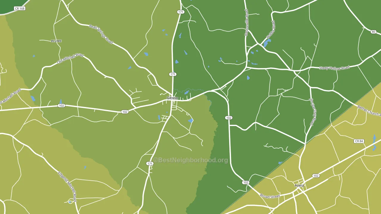 Gibson, GA block-group voter-turnout map