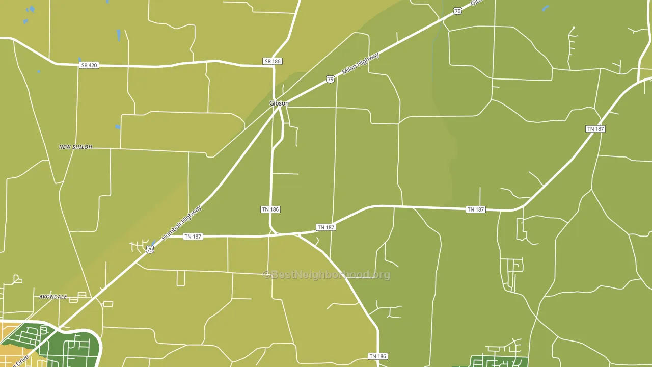 Gibson, TN block-group voter-turnout map