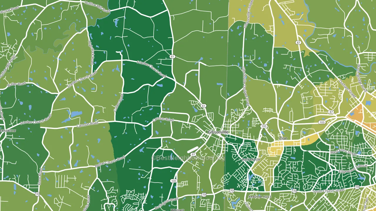 Gibsonville, NC block-group voter-turnout map