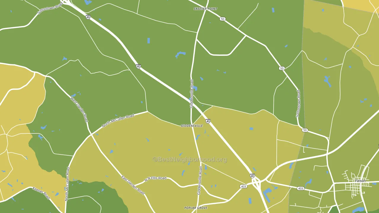 Giddensville, NC block-group voter-turnout map