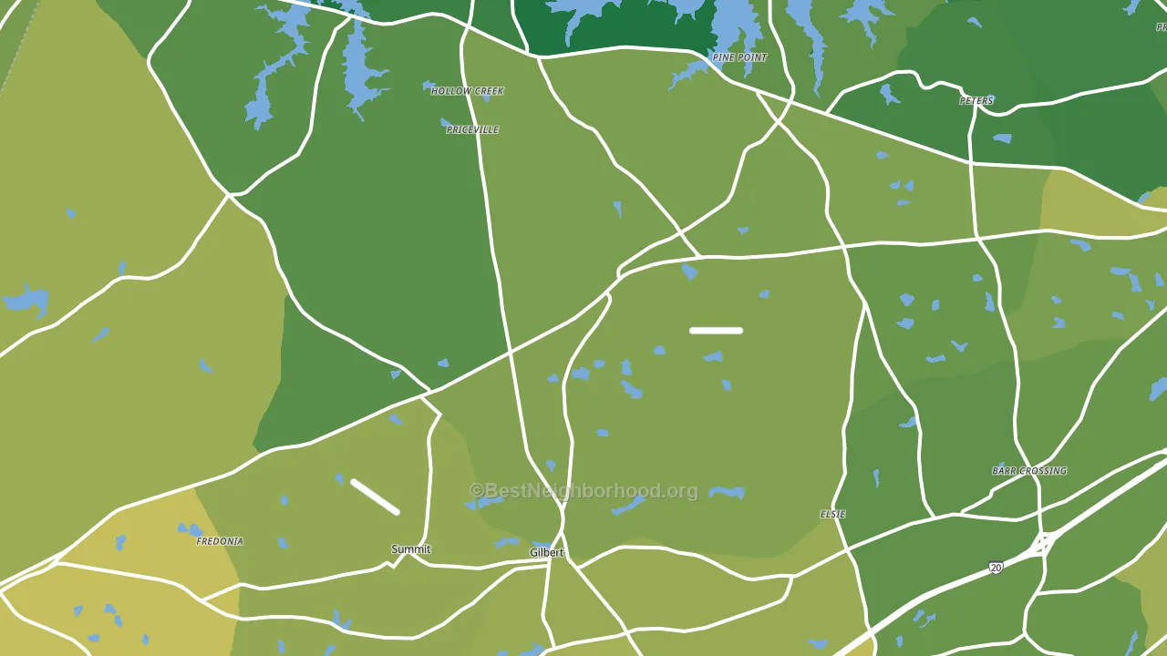 Gilbert, SC block-group voter-turnout map