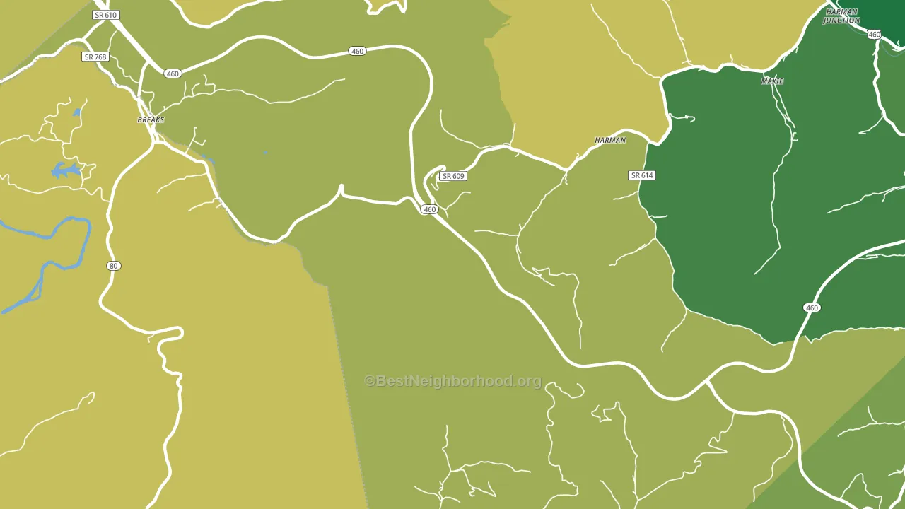 Gillespie, VA block-group voter-turnout map