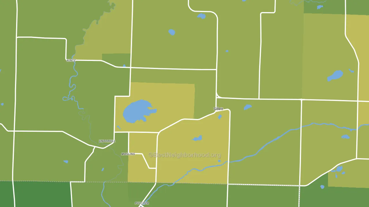 Gillett, WI block-group voter-turnout map