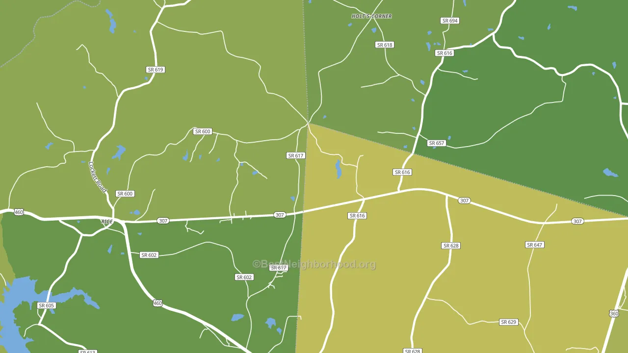 Gills, VA block-group voter-turnout map