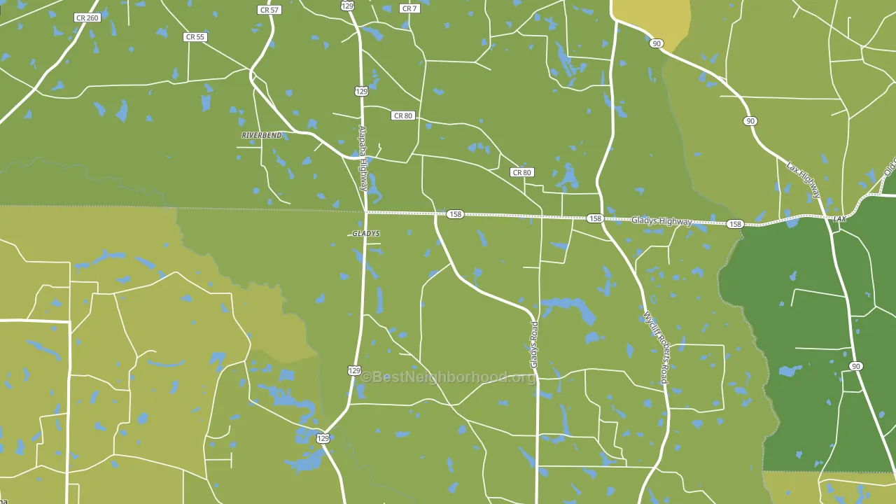 Gladys, GA block-group voter-turnout map