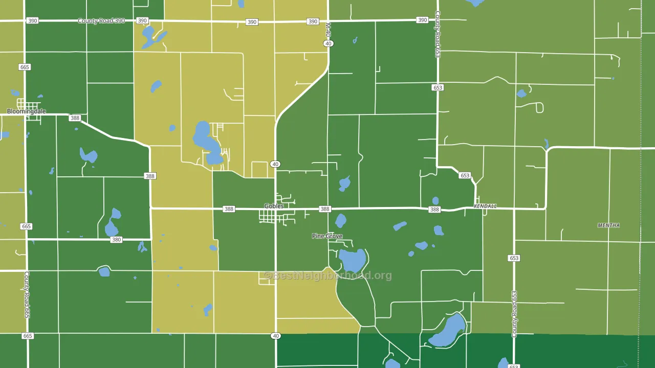 Gobles, MI block-group voter-turnout map