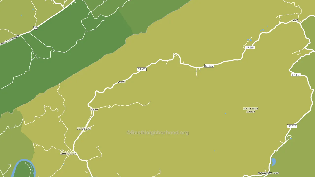 Goldbond, VA block-group voter-turnout map