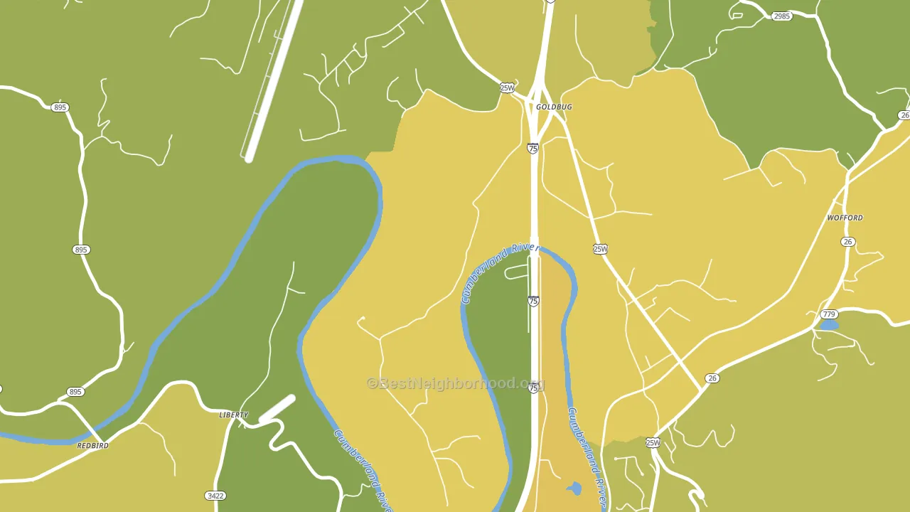 Goldbug, KY block-group voter-turnout map