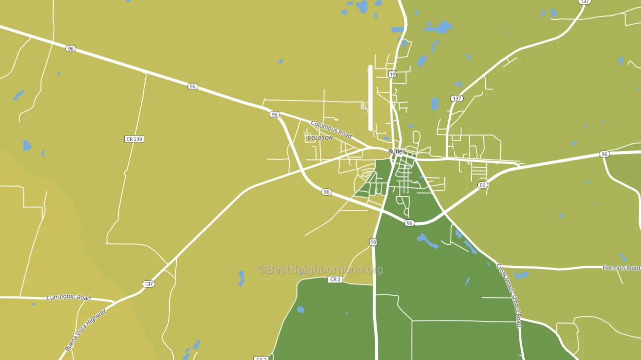 Goldson, GA block-group voter-turnout map