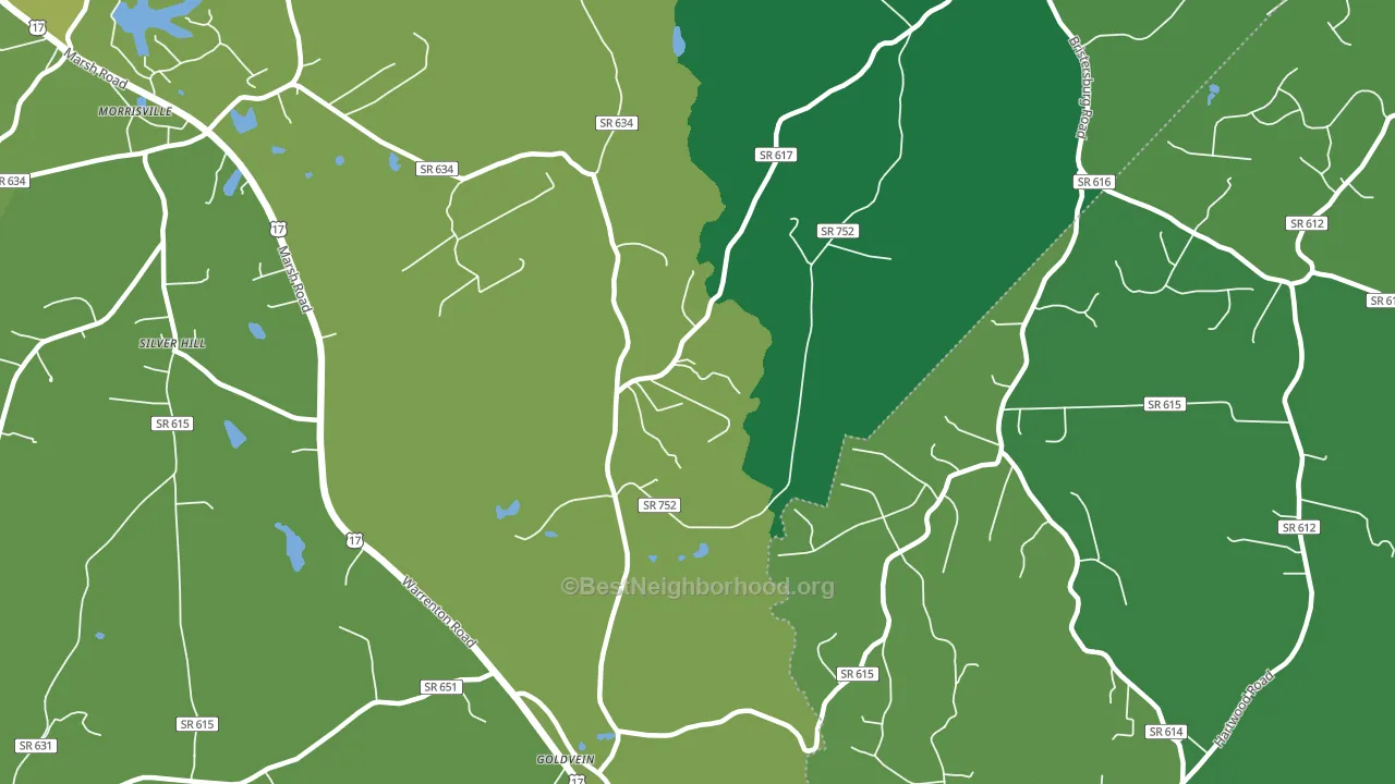 Goldvein, VA block-group voter-turnout map