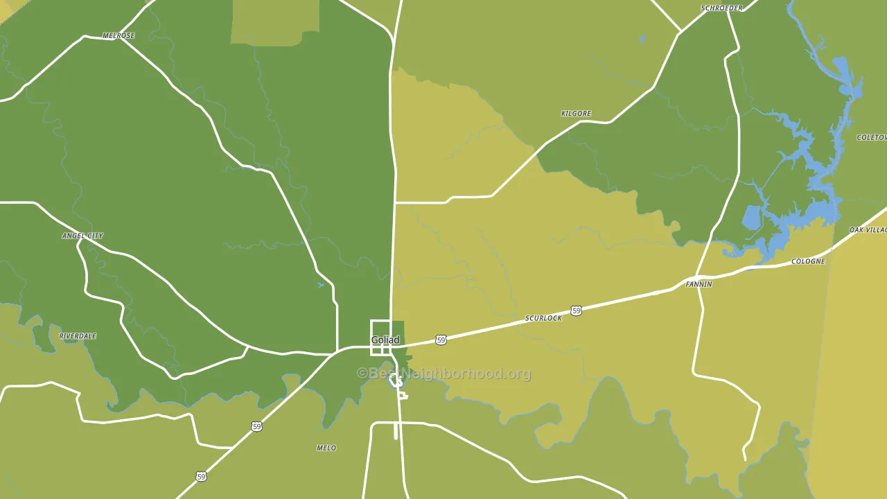 Goliad County, TX block-group voter-turnout map