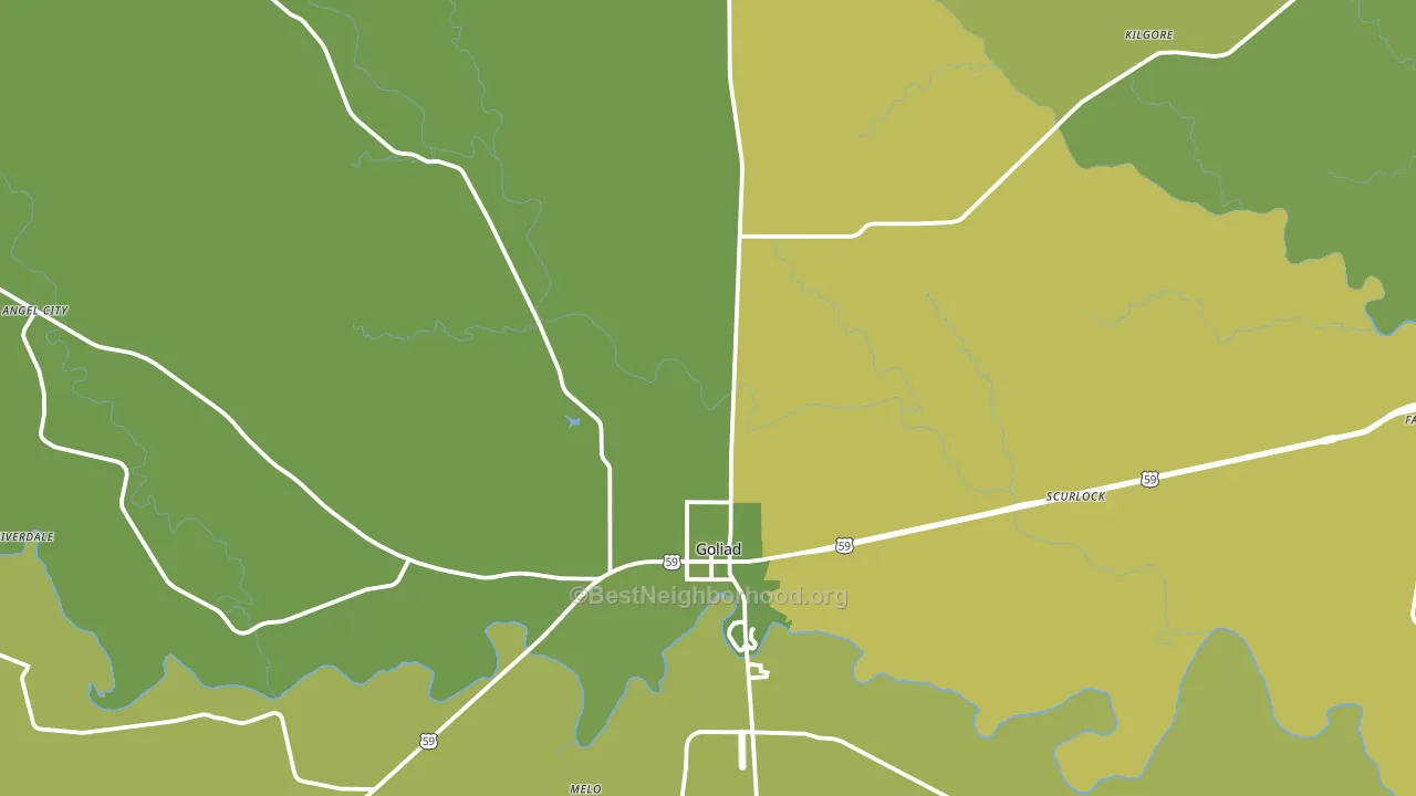 Goliad, TX block-group voter-turnout map