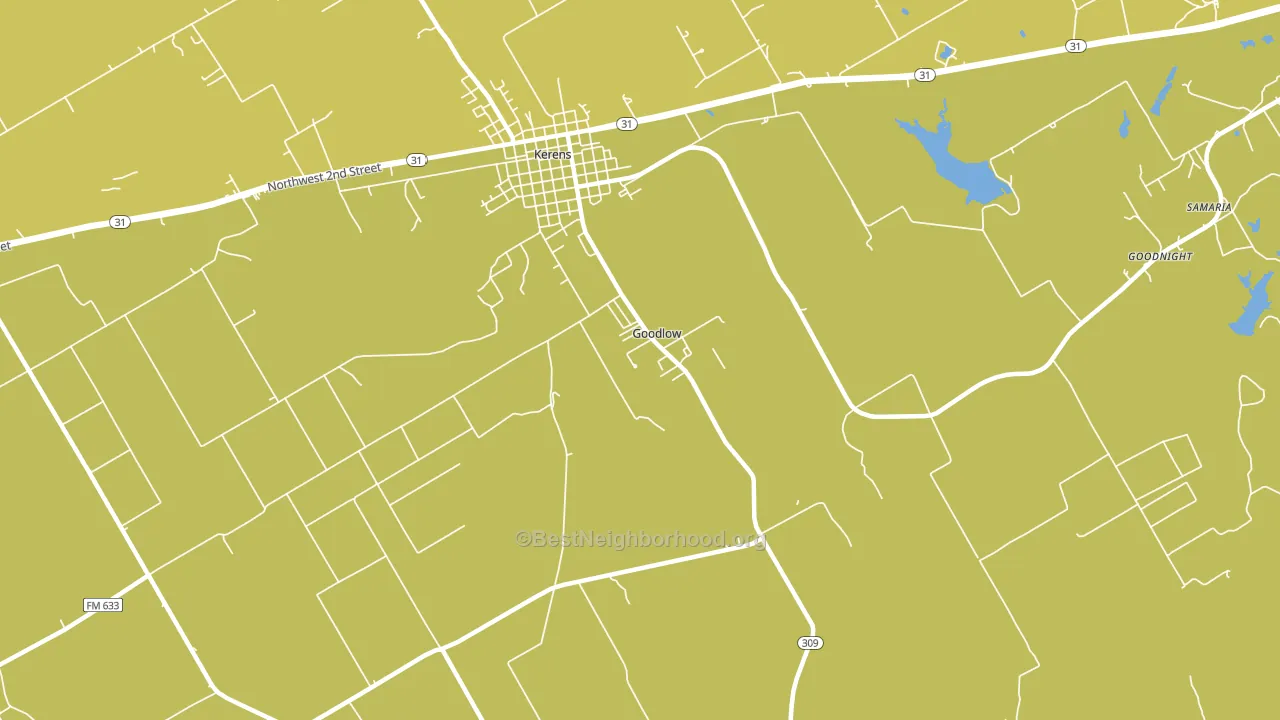 Goodlow, TX block-group voter-turnout map