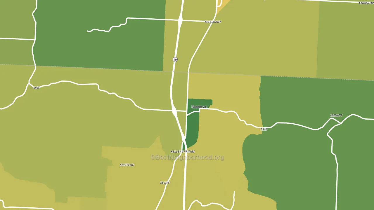 Goodman, MO block-group voter-turnout map
