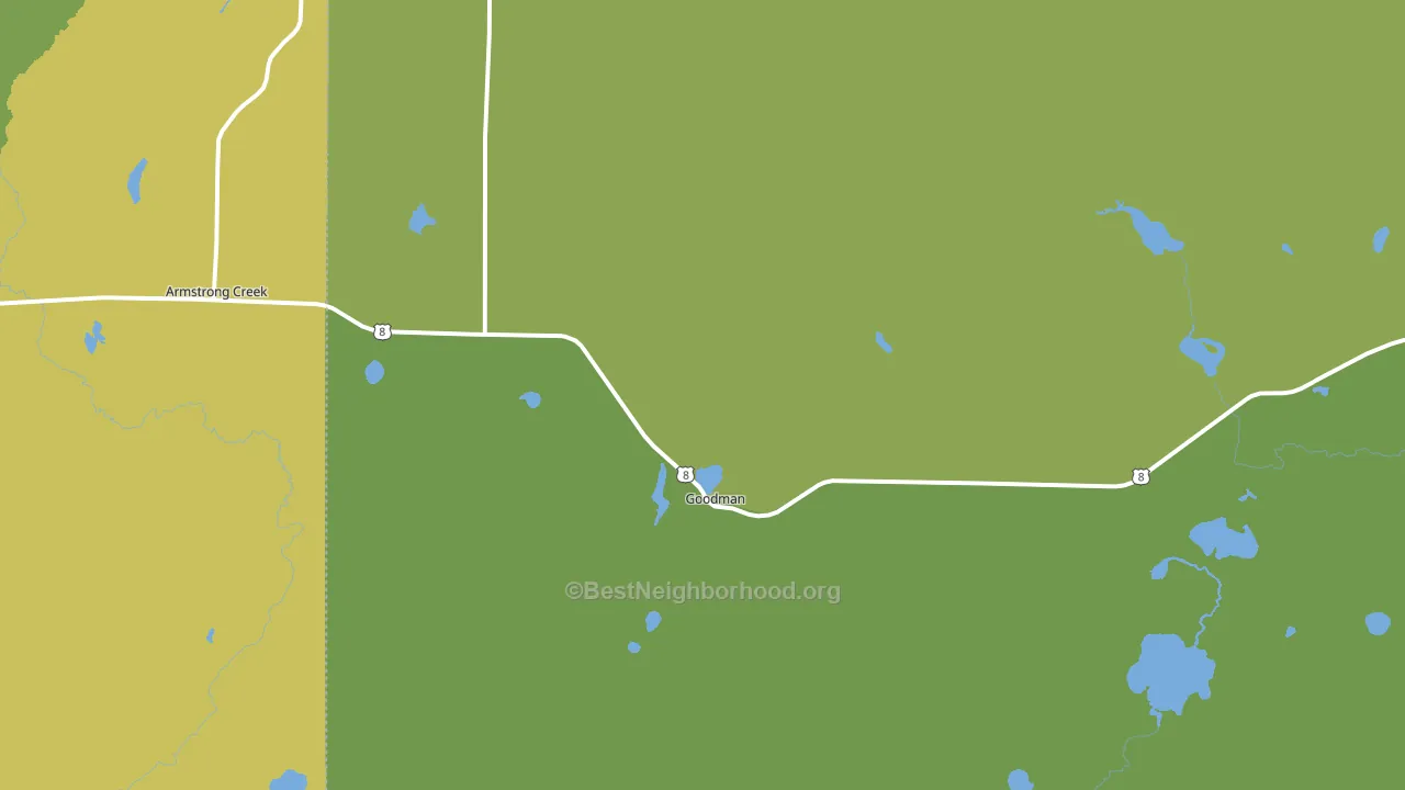 Goodman, WI block-group voter-turnout map