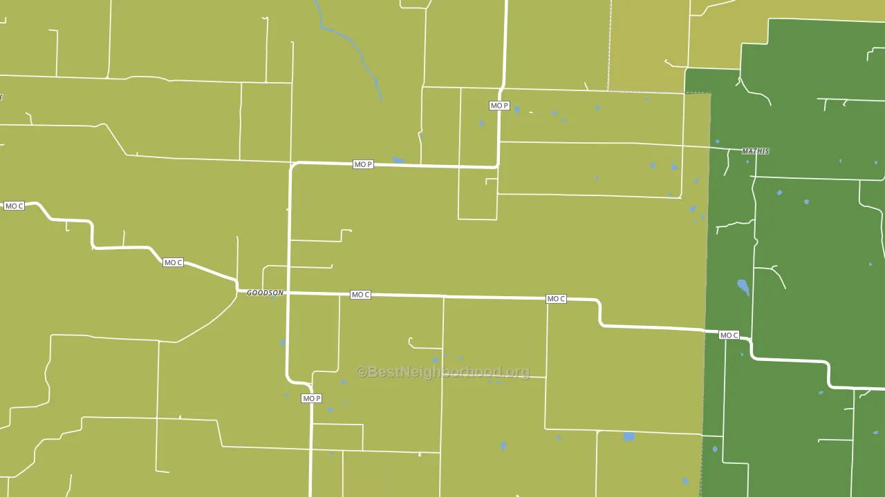 Goodson, MO block-group voter-turnout map