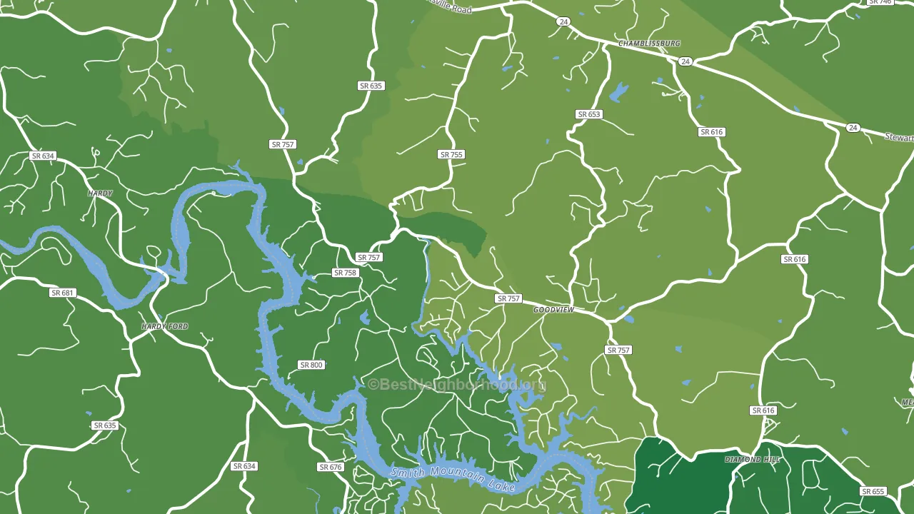 Goodview, VA block-group voter-turnout map