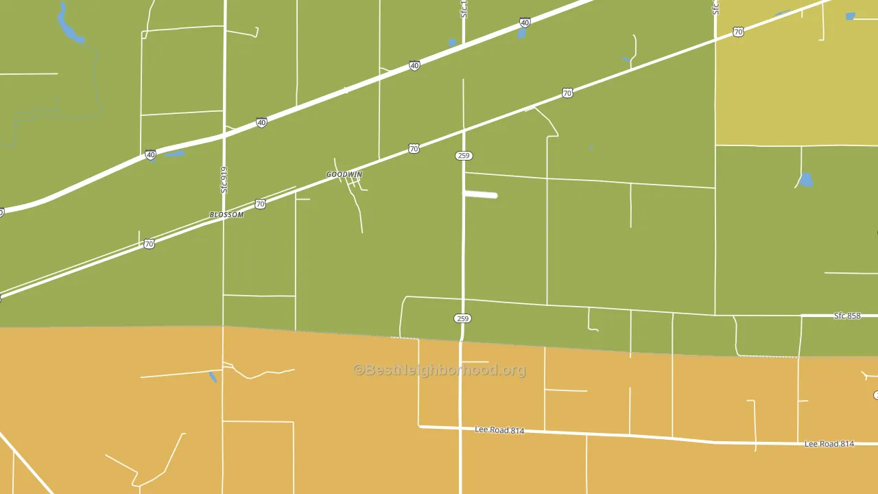 Goodwin, AR block-group voter-turnout map