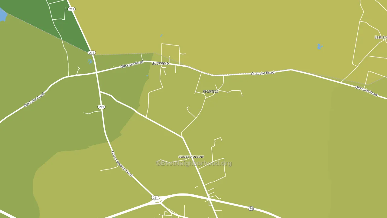Goose Hollow, NC block-group voter-turnout map