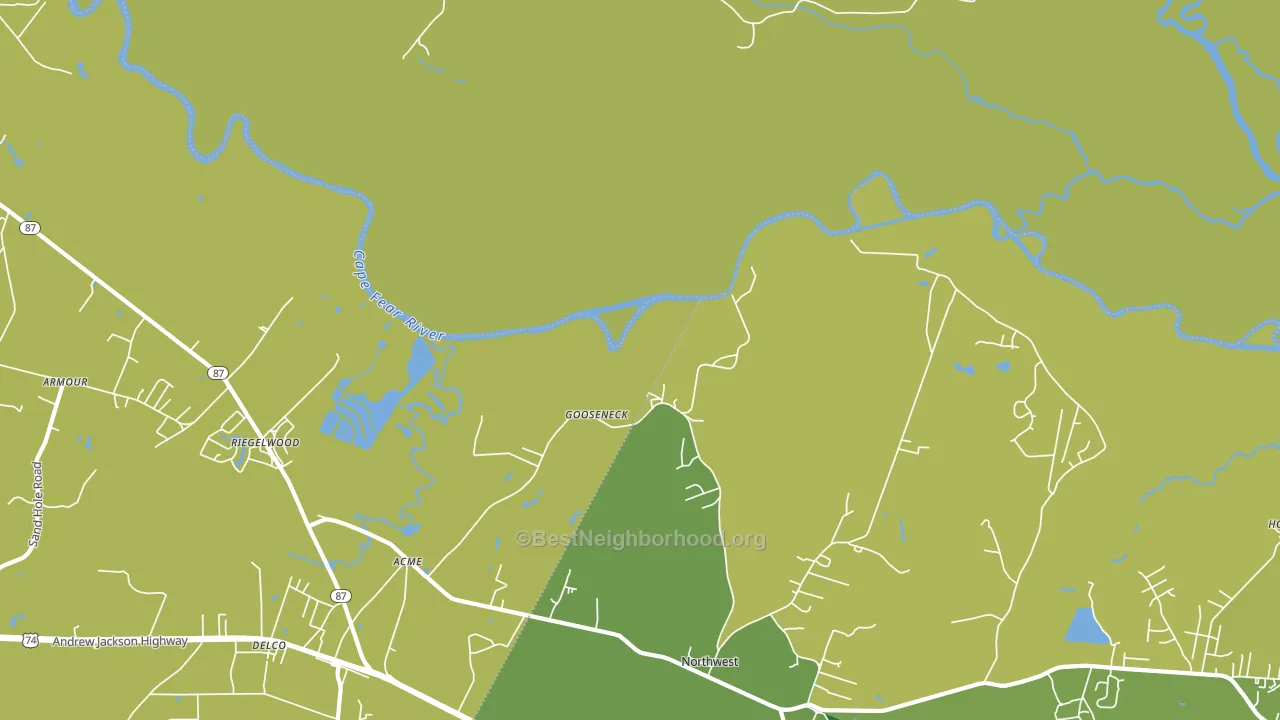 Gooseneck, NC block-group voter-turnout map