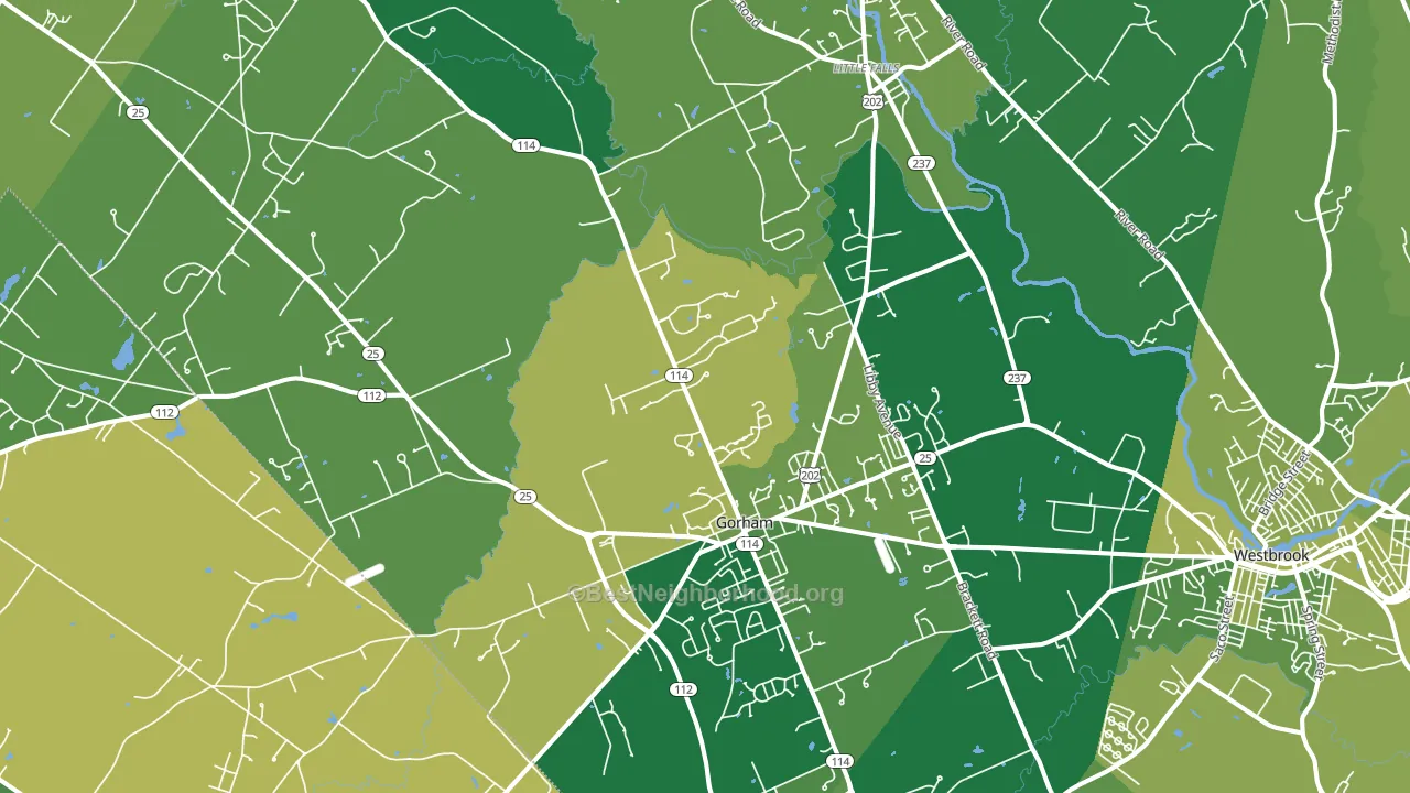 Gorham, ME block-group voter-turnout map